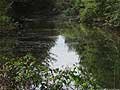 Guy Fanguy - Artist - Photographer - Guy Fanguy - Towns - Louisiana - Schriever (2).jpg Size: 107362 - 12